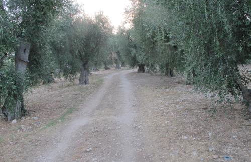 Olive&Sea Villa-OLIVE - Foto 28