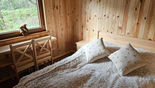 Holiday homes with a private beach on the lake - Foto 3