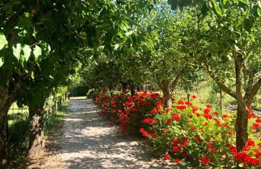 Quinta da Trombeta - Foto 7