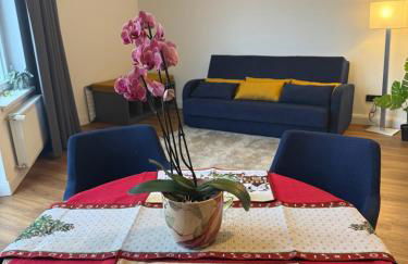 Hidden treasure - Foto 8