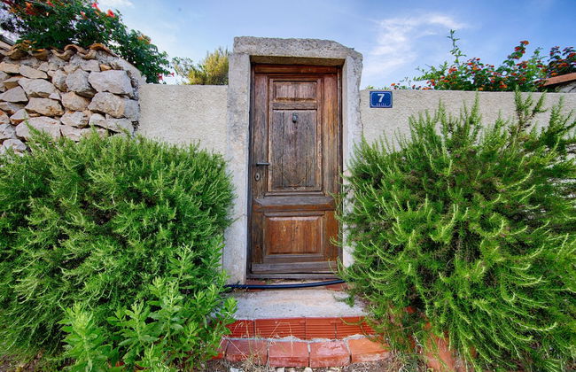 Victorious VIScovery Yellow - Foto 43