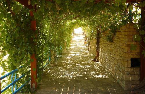 Pantheon Apartments & Studios - Photo 72