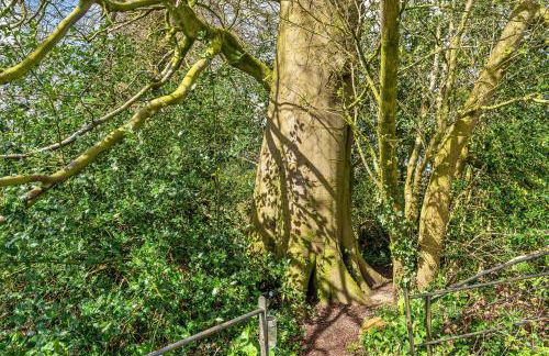 Finest Retreats - The Pods - Foto 42