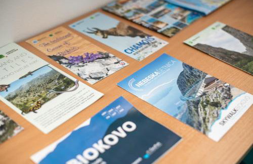 Amaryllis - Photo 10