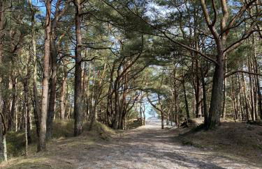 Ferienhaus Piratennest Rügen - Foto 34