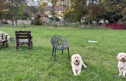 Klosterhof Weingut BoudierKoeller - Foto 37