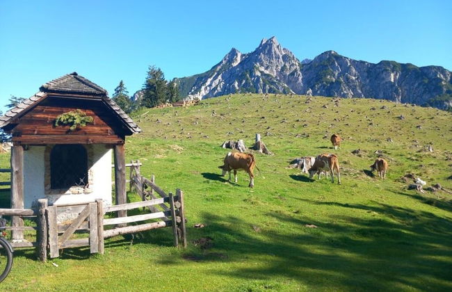 Hirschbichler Modern Retreat - Foto 24