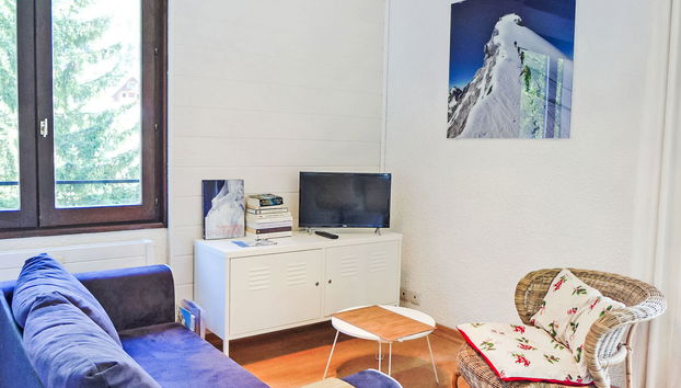 Apartment Le Cristal des Glaces by Interhome - Foto 2, Living Room