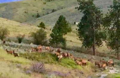 Modern Tiny House with Spectacular Views - Foto 28