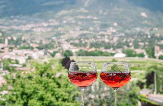 Ferienappartement Freiblick - Foto 17