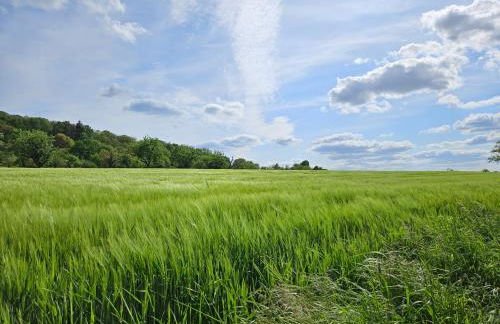 Gemütliche Wohnung in ruhigem Wohngebiet - Foto 18