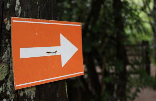 Casa para até 12 pessoas com cachoeiras perto de Brasília - Photo 32