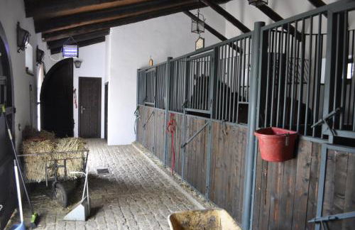 Finca Molino Don Zoilo - Foto 22