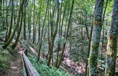 Escape Langewiese Winterberg - Foto 12