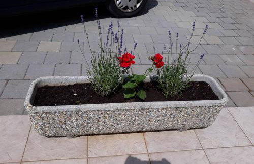 Apartment Viškovo - Photo 17