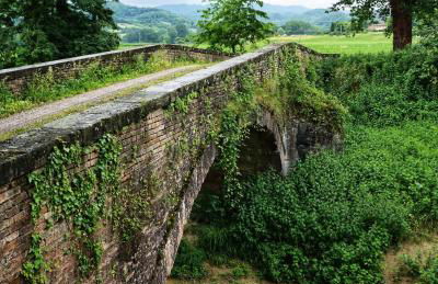 Via della musica - Foto 53