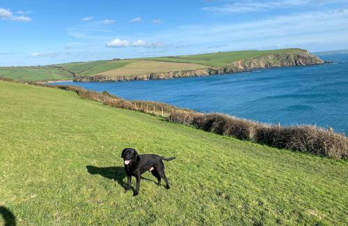 Cottage 2 Minutes from Noss Mayo with Tennis Court - Foto 14