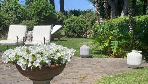 Villa Caprera - Photo 3, Garden