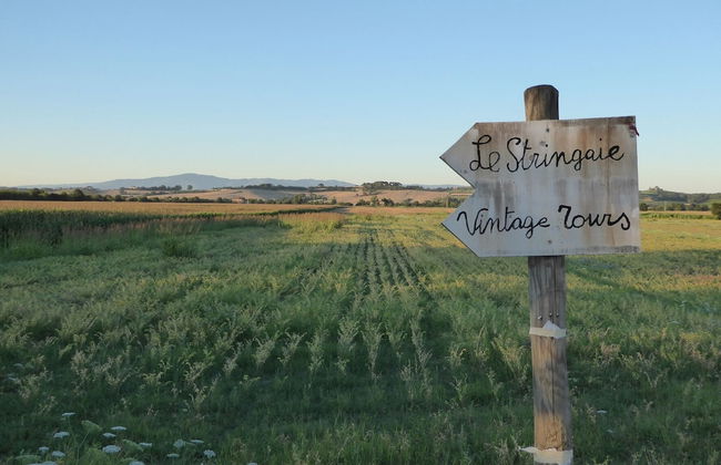 Agriturismo Le Stringaie - Photo 35