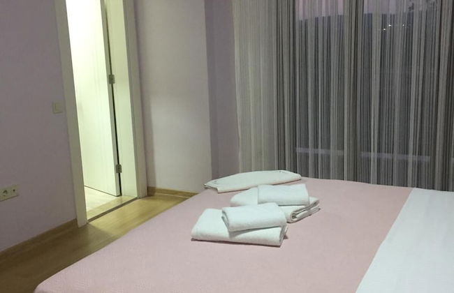 Sapanca mavi yeşil köy evi - Foto 3