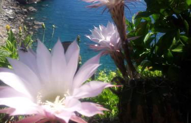 5 Terre For You - Foto 25