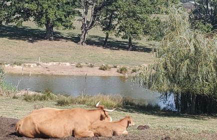 Grand Chalet - Foto 27