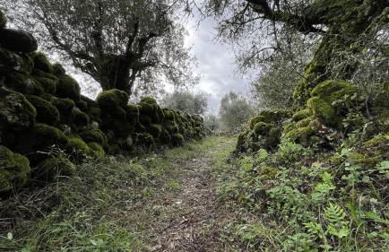 M Butterfly - Foto 44