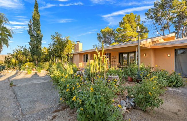 The Juniper - Foto 33