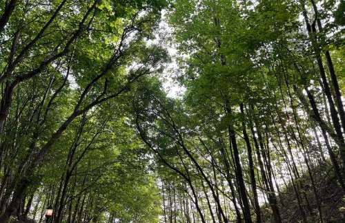 4BR Spacious Condo, Private Lake MI Beach Access, Outdoor Heated Pool - Photo 34