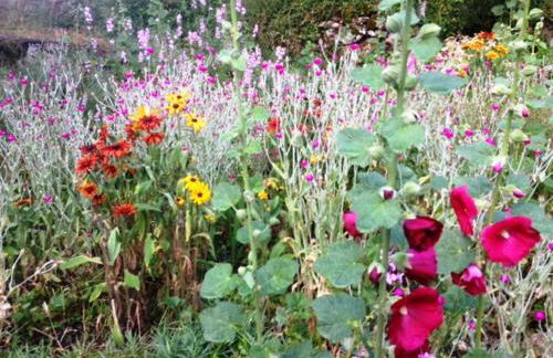 Domaine de Label, Spa, massages - Foto 38