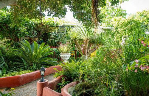 CASA LAZARO, TEGUESTE - Foto 74