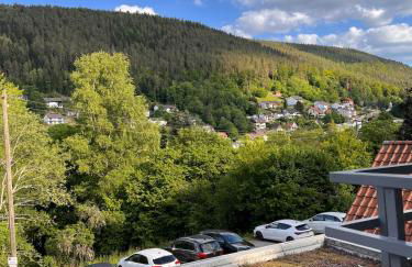 Die Ente an der Enz, mit Schwimmbad und Sauna - Foto 21