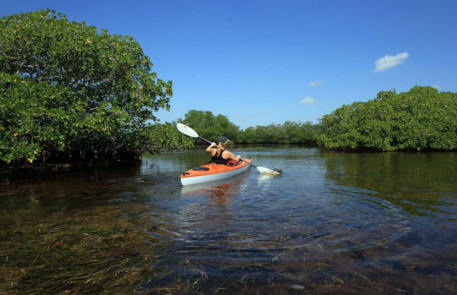 Vista Hermosa Circle Villa - Foto 33