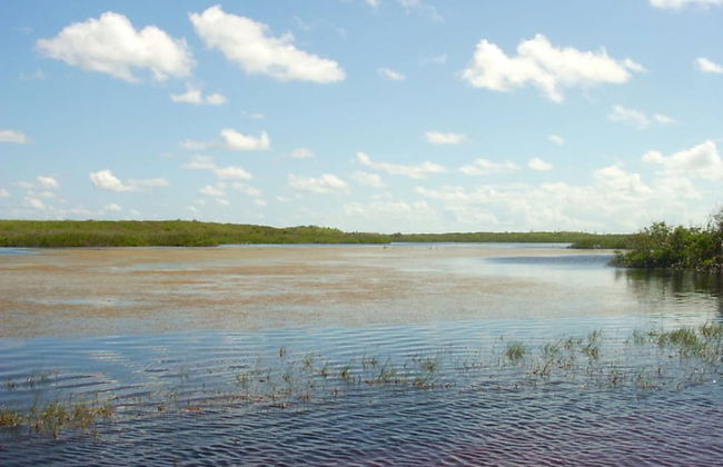 Buttonwood Reserve 1B - Foto 33