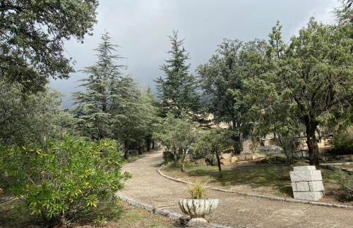 Magnífico Castillo privado, elevado en la roca - Foto 43