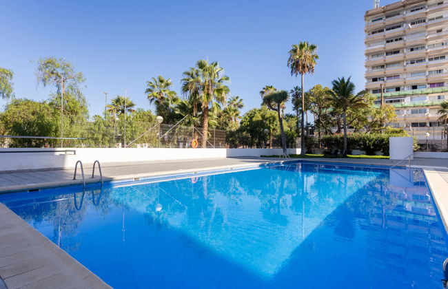 Comfy Altemar - Foto 28