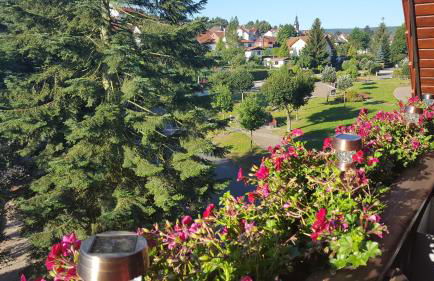 Moderne Komfortwohnung im Kurort am Rennsteig - Foto 24