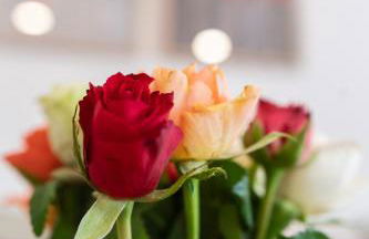 Altstadtsuite Landsberg am Lech - Foto 7