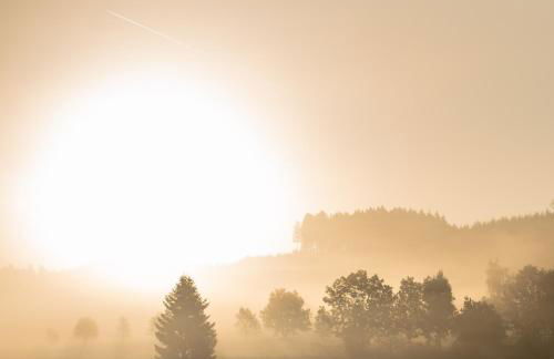 Ferienhaus Fichtenhütte - Foto 60