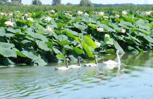 Casa del Pescatore - Photo 10