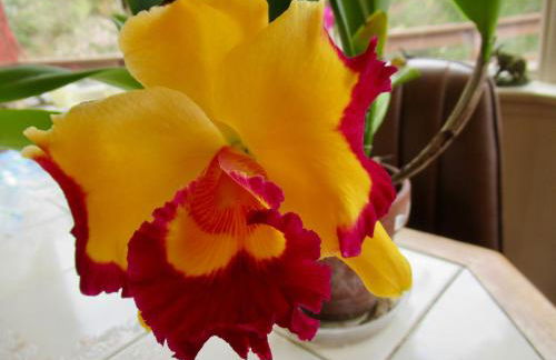 This is Paradise! - Foto 10