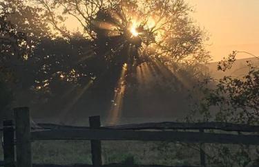 The Piggery, a perfect country hideaway - Photo 25