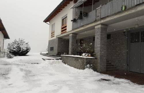 The Green Owl - Foto 46