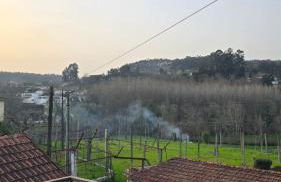 Villa with swimming pool in Nature - near Gerês, Braga & Praias Fluvias - Foto 11