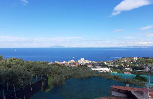 La Lobra Dépendance - Foto 43