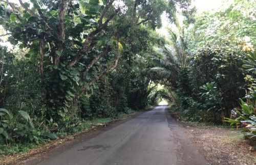 Oceanfront Cottage Near the Kalapana Lava Flows - Foto 6