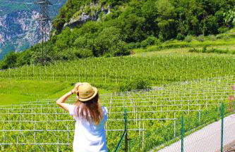 La Gazza Ladra Apartments - Garda Chill Out - Photo 20