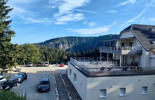 bel appartement 3 pièces dans la Résidence Vosges-Alsace Orbey - Foto 20