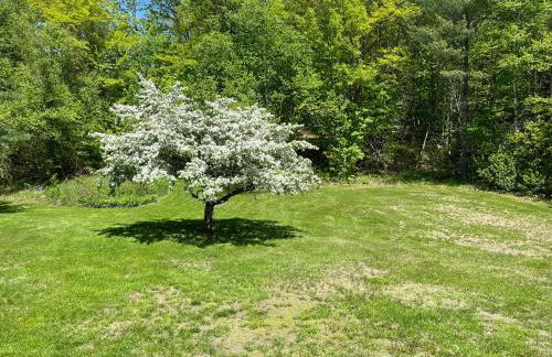 Cozy Retreat with Private Backyard Oasis - Foto 10