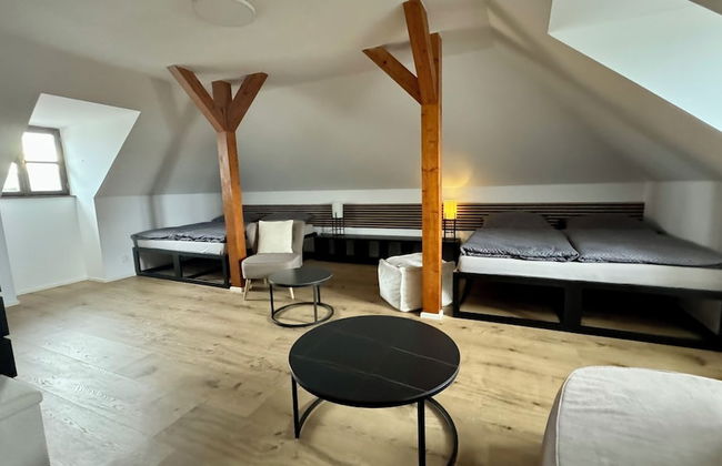 Family Apartments Černice - Foto 35